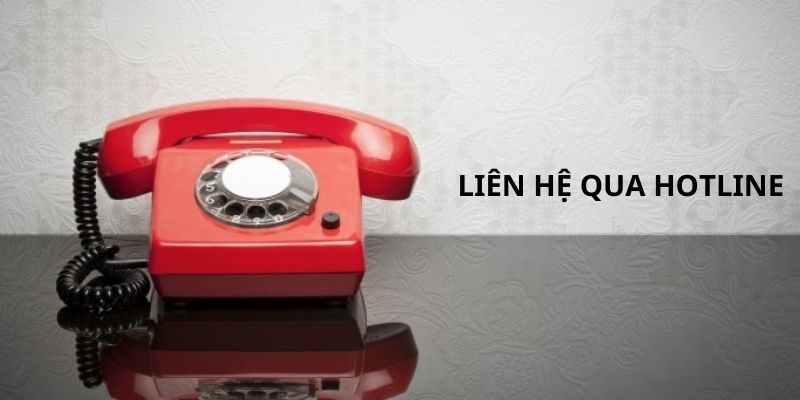 Gọi điện qua Hotline
