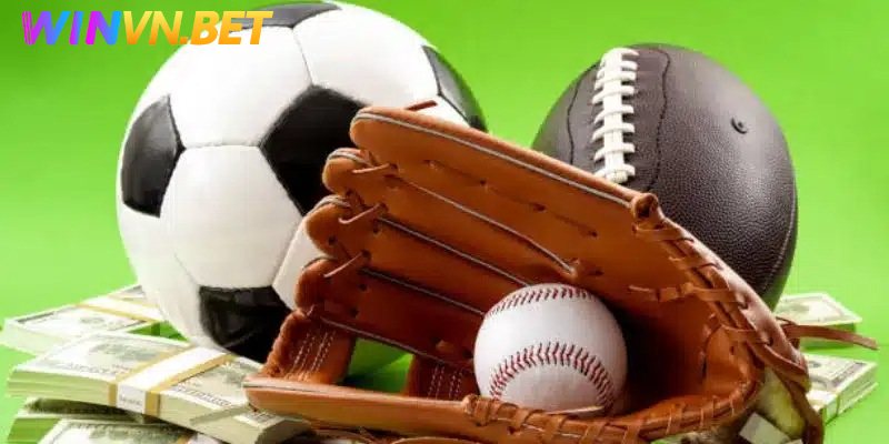 Ưu điểm tham gia sảnh thể thao tại Winvn