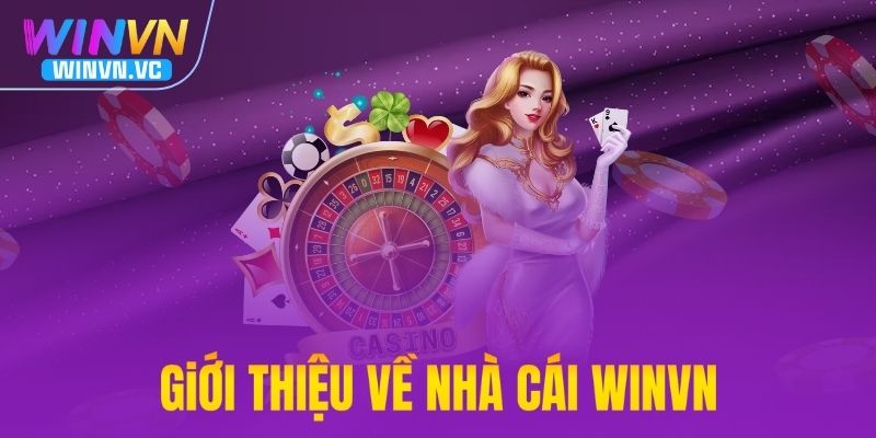 Tổng quan về nhà cái WINVN
